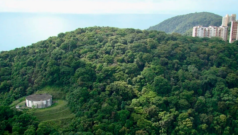 Quais S O E Onde Est O Os Principais Biomas Brasileiros Territ Rio