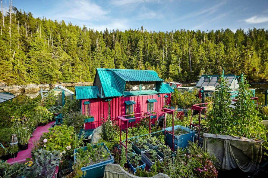 Casal  de artistas canadenses passa 25 anos construindo ilha autossustentável para viver isolado do mundo