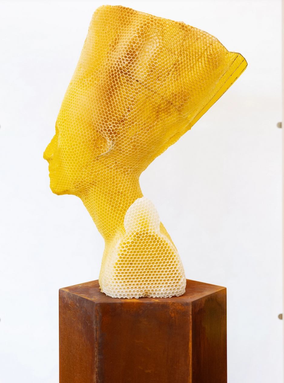 Parceria entre artista e 60 mil abelhas cria busto de Nefertiti de cera e favo de mel