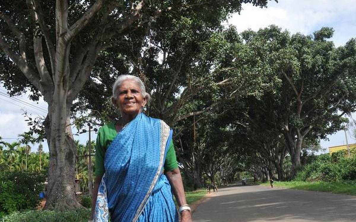 Mãe das árvores: aos 109 anos ela plantou mais de 8 mil árvores na Índia