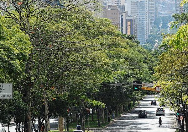 Prefeitura de Belo Horizonte lança cartilha sobre plantio de árvores em espaços públicos