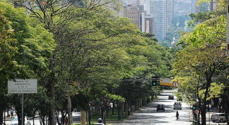 Prefeitura de Belo Horizonte lança cartilha sobre plantio de árvores em espaços públicos