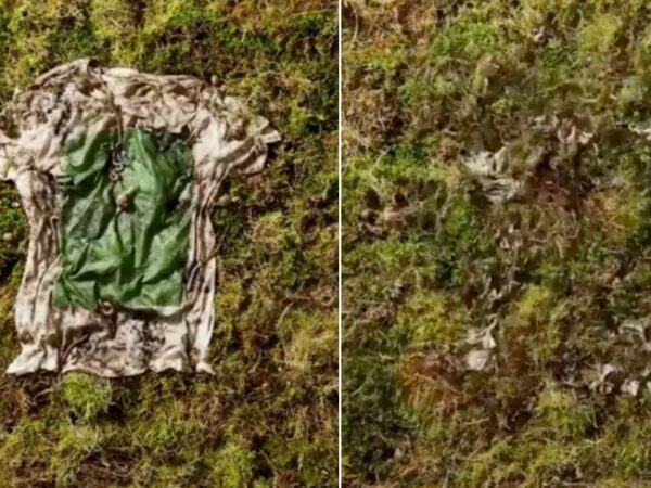 Jovens empreendedores criam camiseta 100% biodegradável que pode ser ‘plantada’ e se transformar em alimentos para animais