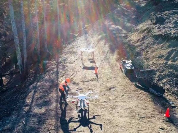 Empresa está usando drones para replantar florestas devastadas por incêndios florestais