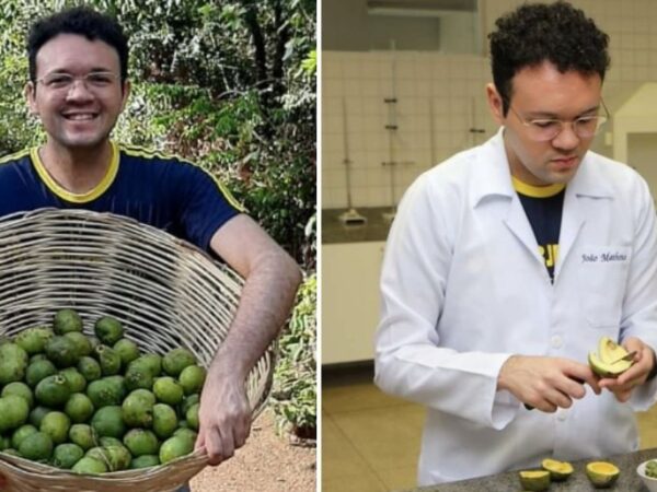 Estudante brasileiro cria pesticida natural com casca do pequi para ajudar agricultores nordestinos