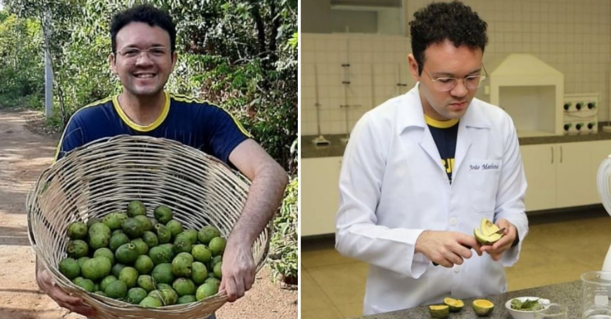 Estudante brasileiro cria pesticida natural com casca do pequi para ajudar agricultores nordestinos