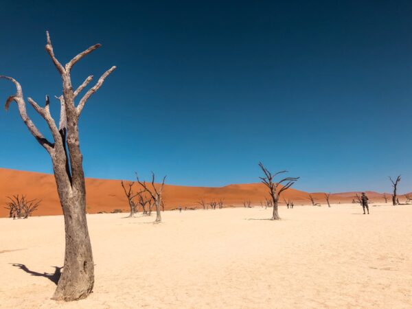 Estudo climatico indica que verão será cada vez maior e inverno cada vez menor