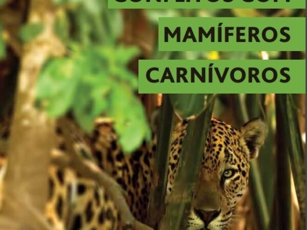 Baixe gratuitamente o livro “Conflitos com Mamíferos Carnívoros: Referência para o Manejo e a Convivência”