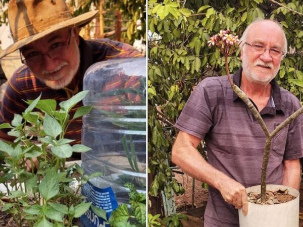 Idoso se reinventa e faz sucesso na internet dando dicas de como plantar e cultivar diversas espécies