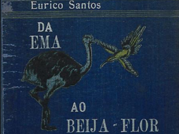 Primeiro livro de identificação de aves do Brasil – baixe aqui.