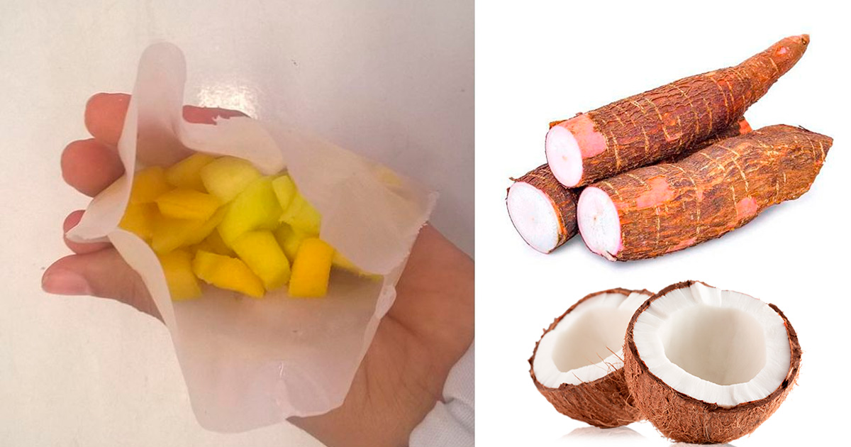 Pesquisadores da Bahia criam embalagem de mandioca e coco que se degrada em menos de 6 meses