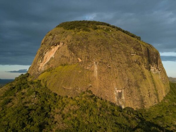 Cientistas descobrem floresta secreta em topo de vulcão na África