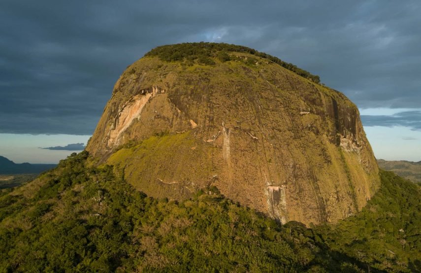 Cientistas descobrem floresta secreta em topo de vulcão na África