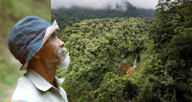 Indonésio leva 24 anos transformando região árida em floresta verdejante e ganha prêmio