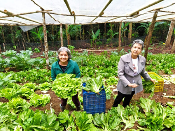 Jovens estudantes desenvolvem projeto para ajudar pequenos produtores rurais