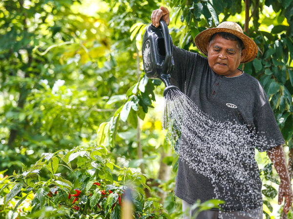 Projeto leva água para comunidades rurais no Nordeste