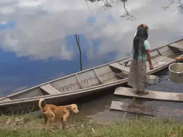 Aldeias estão sem água potável na região do Alto Solimões, no Amazonas