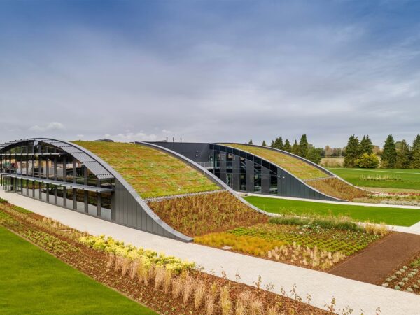 Telhado verde promove a biodiversidade e a eficiência energética neste edifício