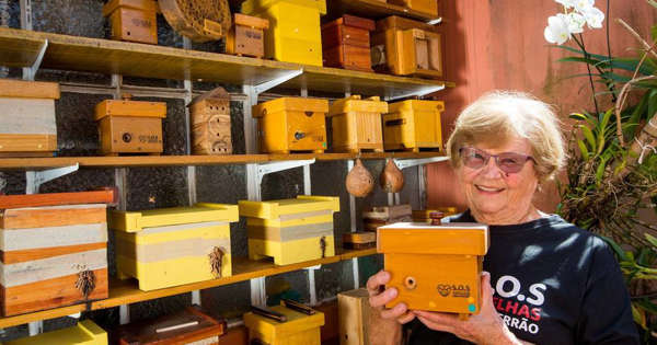 Dona Maria Helena cuida de mais de 40 mil abelhas sem ferrão no quintal de casa