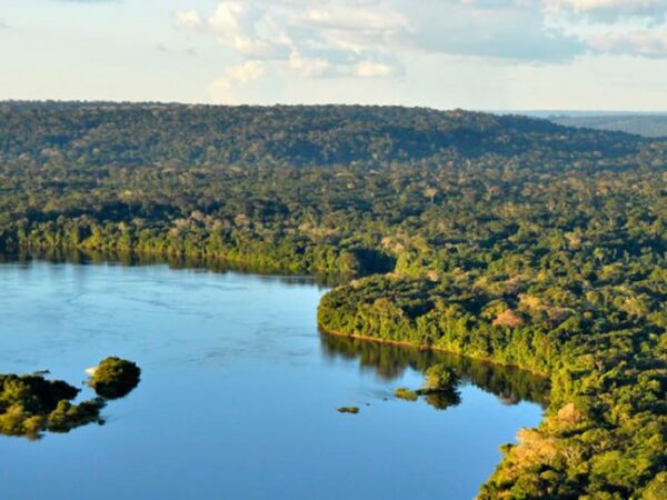 Empresas privadas adotam e vão proteger 8 parques na Amazônia