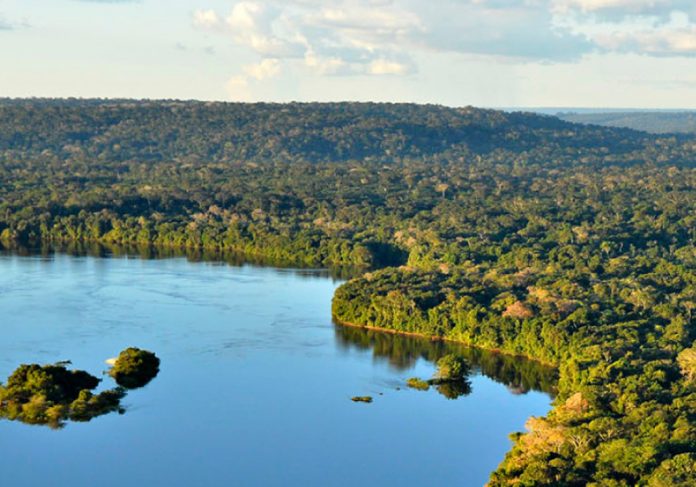Empresas privadas adotam e vão proteger 8 parques na Amazônia