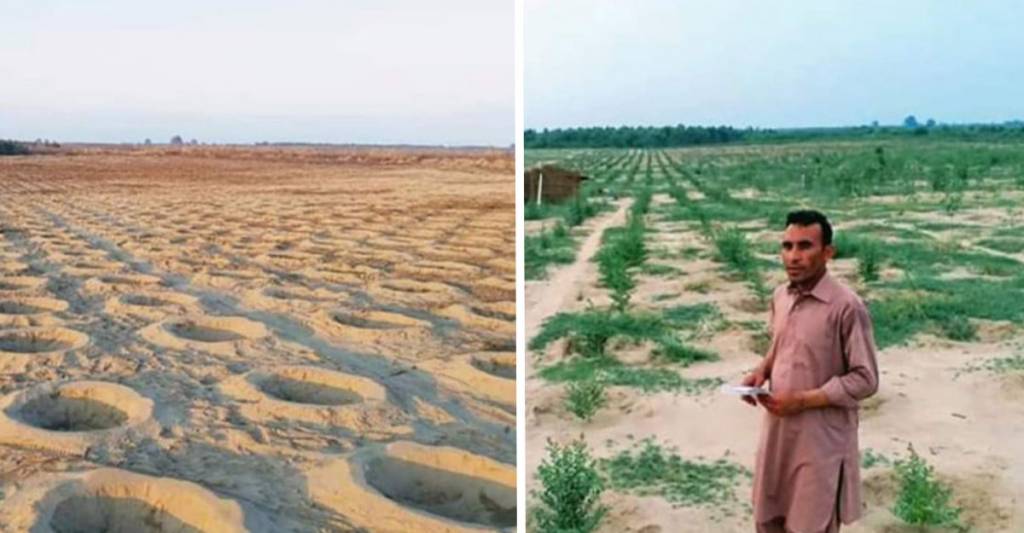 Projeto de reflorestamento transforma deserto no Paquistão