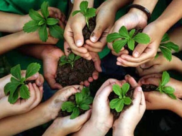 10 livros fundamentais sobre Educação Ambiental