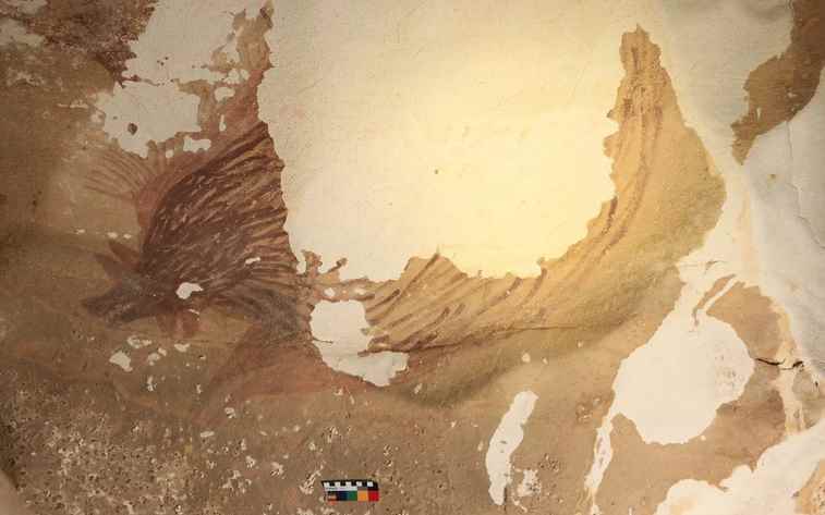 Mudanças climáticas estão apagando artes rupestres mais antigas do mundo