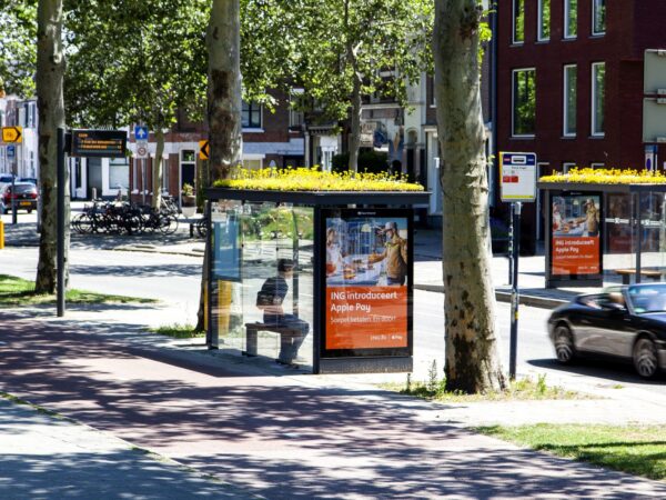 Para salvar abelhas da extinção, cidade transforma pontos de ônibus em santuários para os insetos