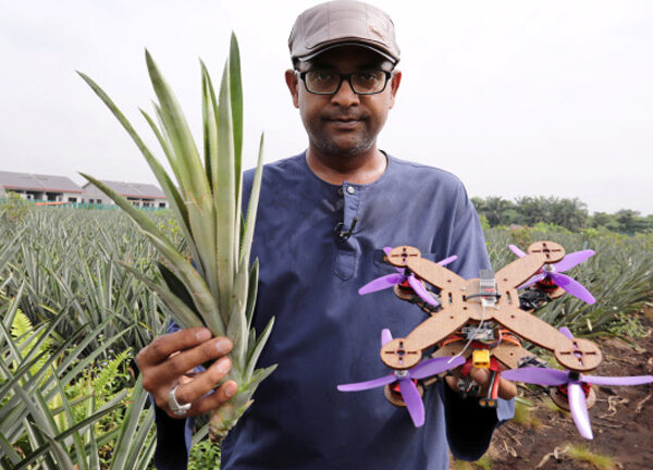 Cientistas desenvolvem drone biodegradável utilizando restos de abacaxi