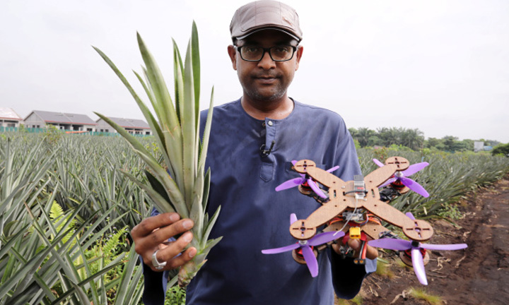 Cientistas desenvolvem drone biodegradável utilizando restos de abacaxi