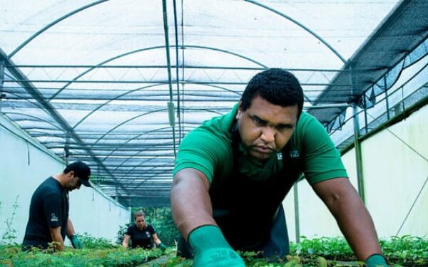 Centro de Biodiversidade da Mata Atlântica produz mudas nativas