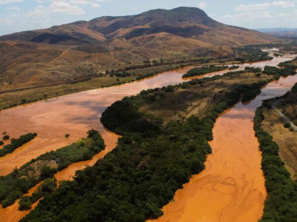 Mariana: peixes do Rio Doce ainda tem altos níveis de metais tóxicos