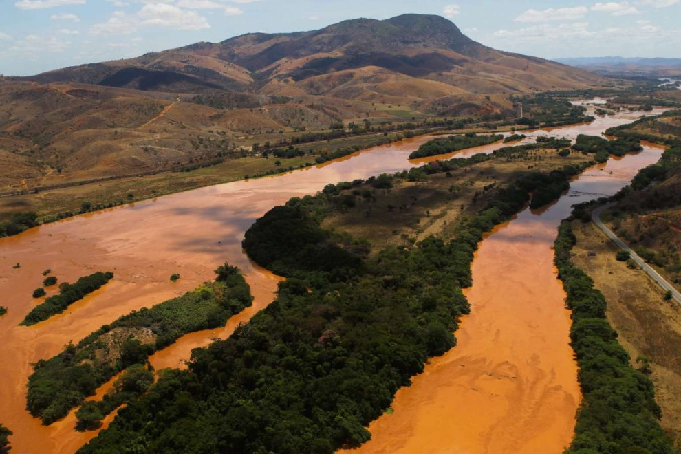 Mariana: peixes do Rio Doce ainda tem altos níveis de metais tóxicos