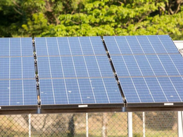 Brasil fica entre os dez países que mais cresceram na produção de energia solar em 2020