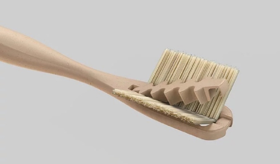 Criada escova de dente sustentável com cerdas substituíveis