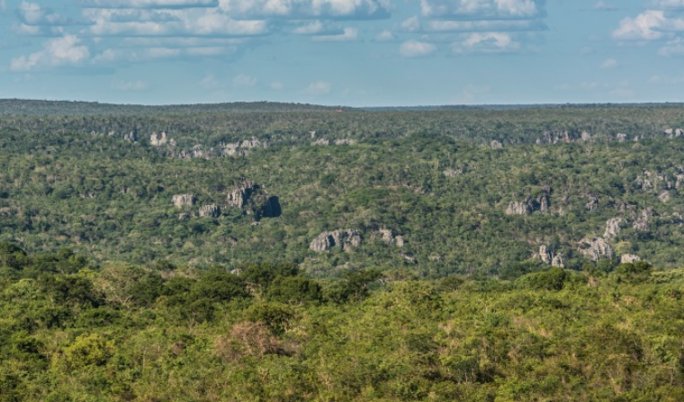 Apenas 12% dos biomas não florestais está sob proteção