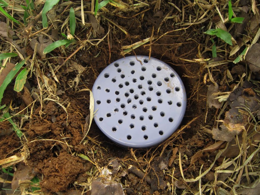 Biopori: método simples pode aumentar absorção de água pelo solo