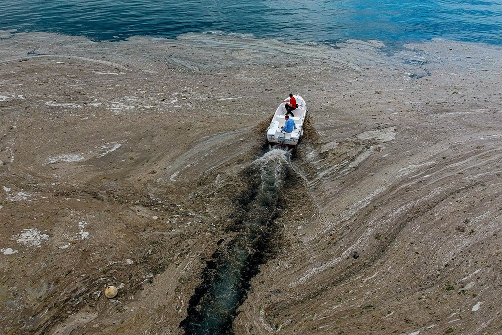 ‘Muco marinho’ em mar da Turquia alarma moradores e ecologistas