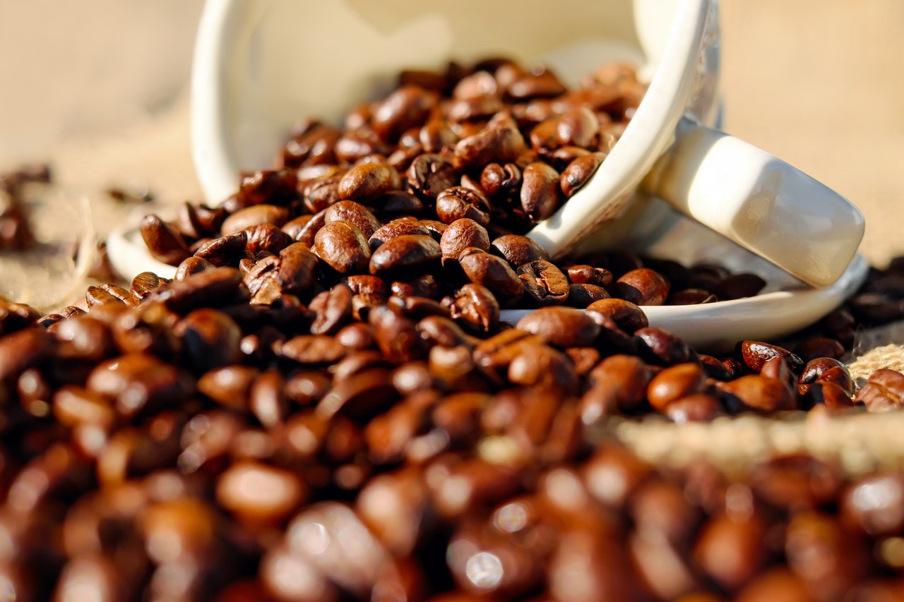 Qual é o impacto ecológico do café e como consumi-lo de maneira sustentável?