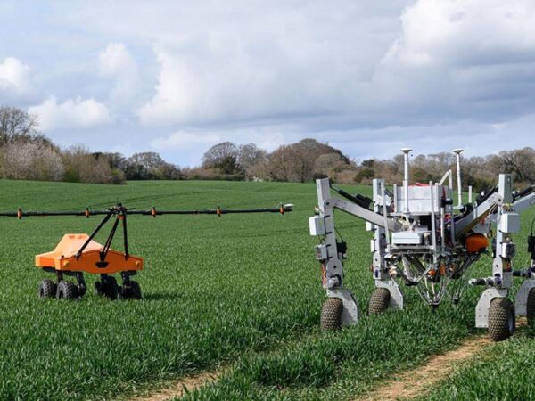 Robôs agricultores eliminam ervas daninhas com eletricidade e sem agrotóxicos