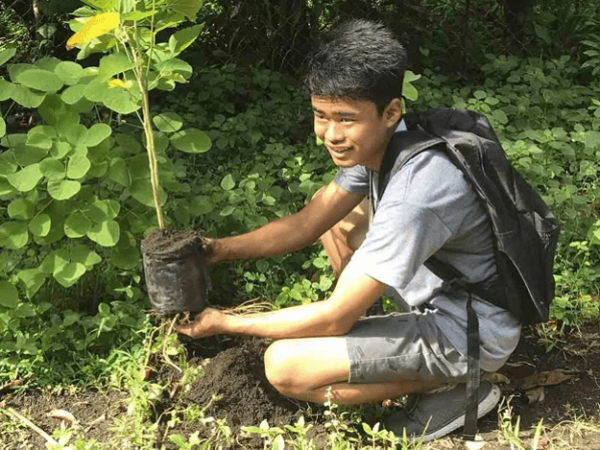 Filipinas passa a exigir que alunos plantem 10 árvores para se formar