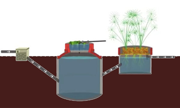 Vídeo ensina como construir um biodigestor