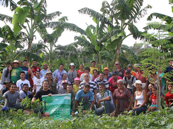 Escola de Agroecologia no Amazonas conquista reconhecimento da ONU