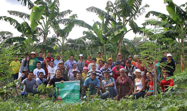 Escola de Agroecologia no Amazonas conquista reconhecimento da ONU