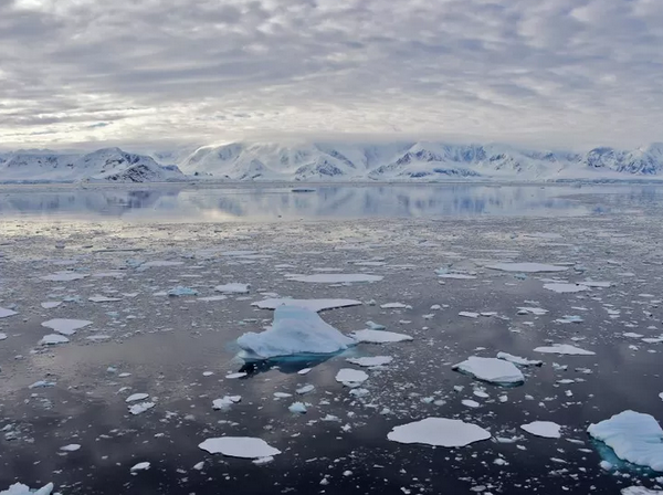 Temperatura recorde de 18,3ºC foi registrada na Antártica, diz ONU