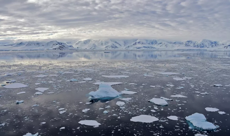 Temperatura recorde de 18,3ºC foi registrada na Antártica, diz ONU