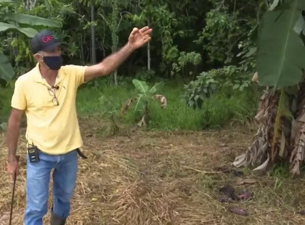 Após seca severa, produtor consegue reflorestar 32 hectares em 15 anos em propriedade rural