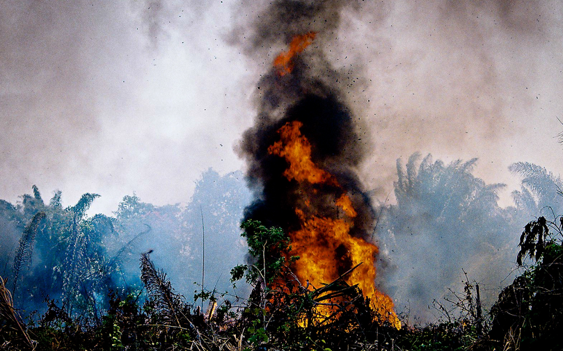 Com Amazônia mais seca, indígenas adaptam técnicas ancestrais de plantio