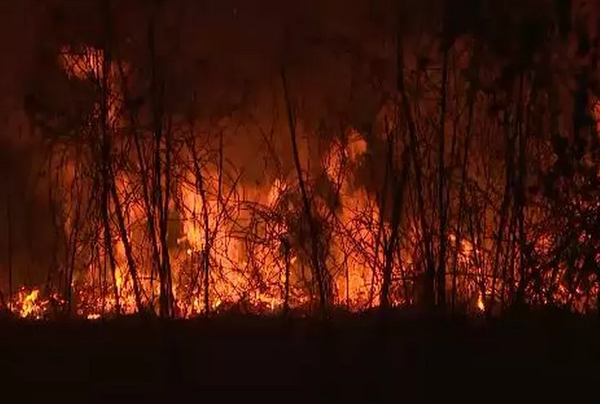 Desmatamento indireto: entenda como a Amazônia passou a emitir mais CO2 do que absorver